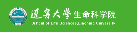世界杯官方票务